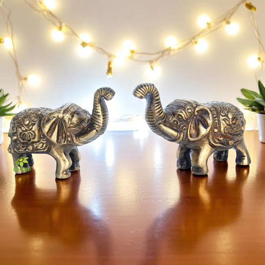 Elephant pair of Brass in Antique Finish
