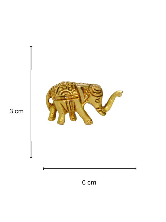 Brass Baby Elephant Up trunk in Brass Metal Home Decor Figure Aakrati