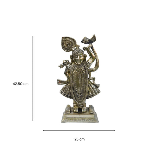 Srinath Ji statue. Vitthalnath ji statue. Nathdwara . Hindu God .Home temple statue. Home decor. Altar statue .Handcrafted Aakrati