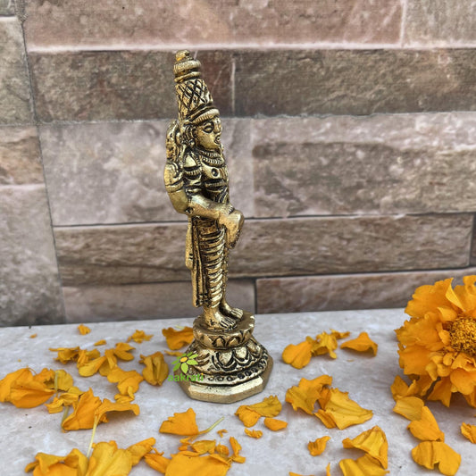 Tirupati Balaji Blessing in Standing Position, Lord Vishnu Avatar Figurine, Shri Venkateswara for Home Temple Pooja Aakrati
