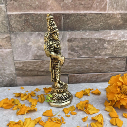 Tirupati Balaji Blessing in Standing Position, Lord Vishnu Avatar Figurine, Shri Venkateswara for Home Temple Pooja Aakrati