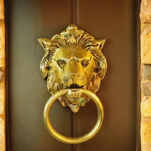 Luxury Brass Door Knocker | Handcrafted Masterpiece for Timeless Appeal | Brass Lion Shape Premium Door Knocker ( Yellow, 5 inch)