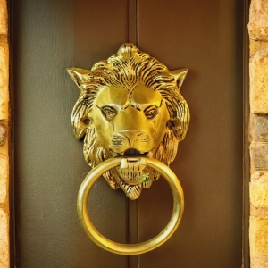 Aakrati Lion Face Door Knocker Brown